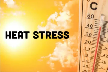 calor extremo en india conflicto con sindicatos